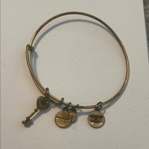 Buy 2 get 1 free Alex and Ani Brass Charm Bangle